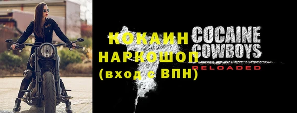 гашик Арсеньев