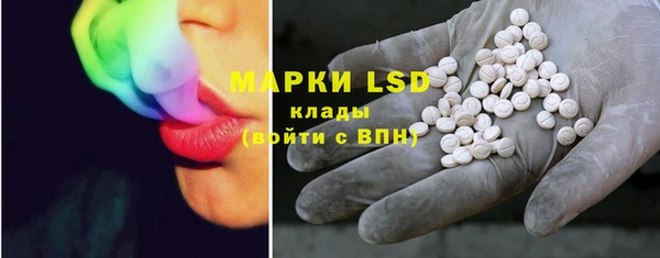 гашик Арсеньев