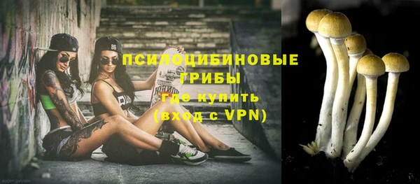 гашик Арсеньев