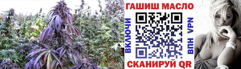 Дистиллят ТГК гашишное масло Сокол