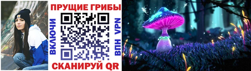Галлюциногенные грибы ЛСД  цены   Сокол 