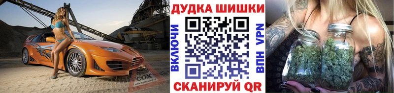Конопля план  закладки  Сокол 